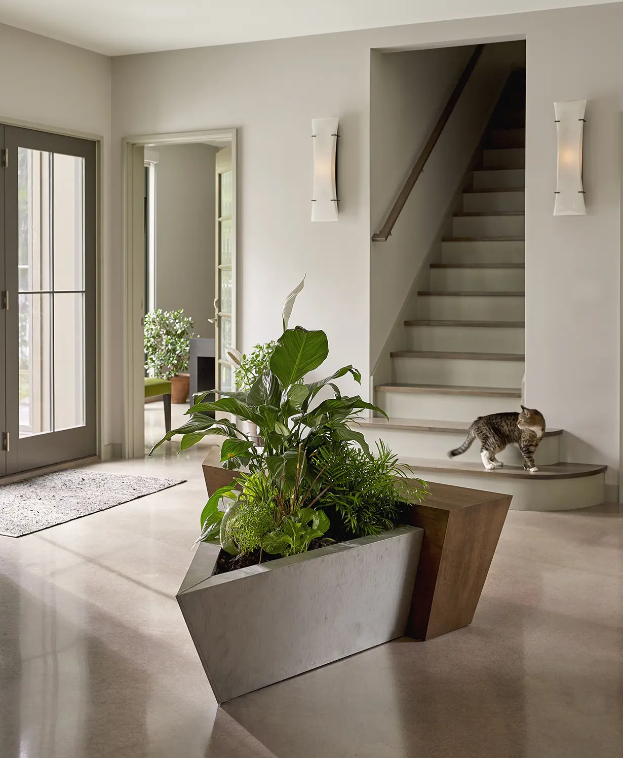Hallway with built in geometric plant holder