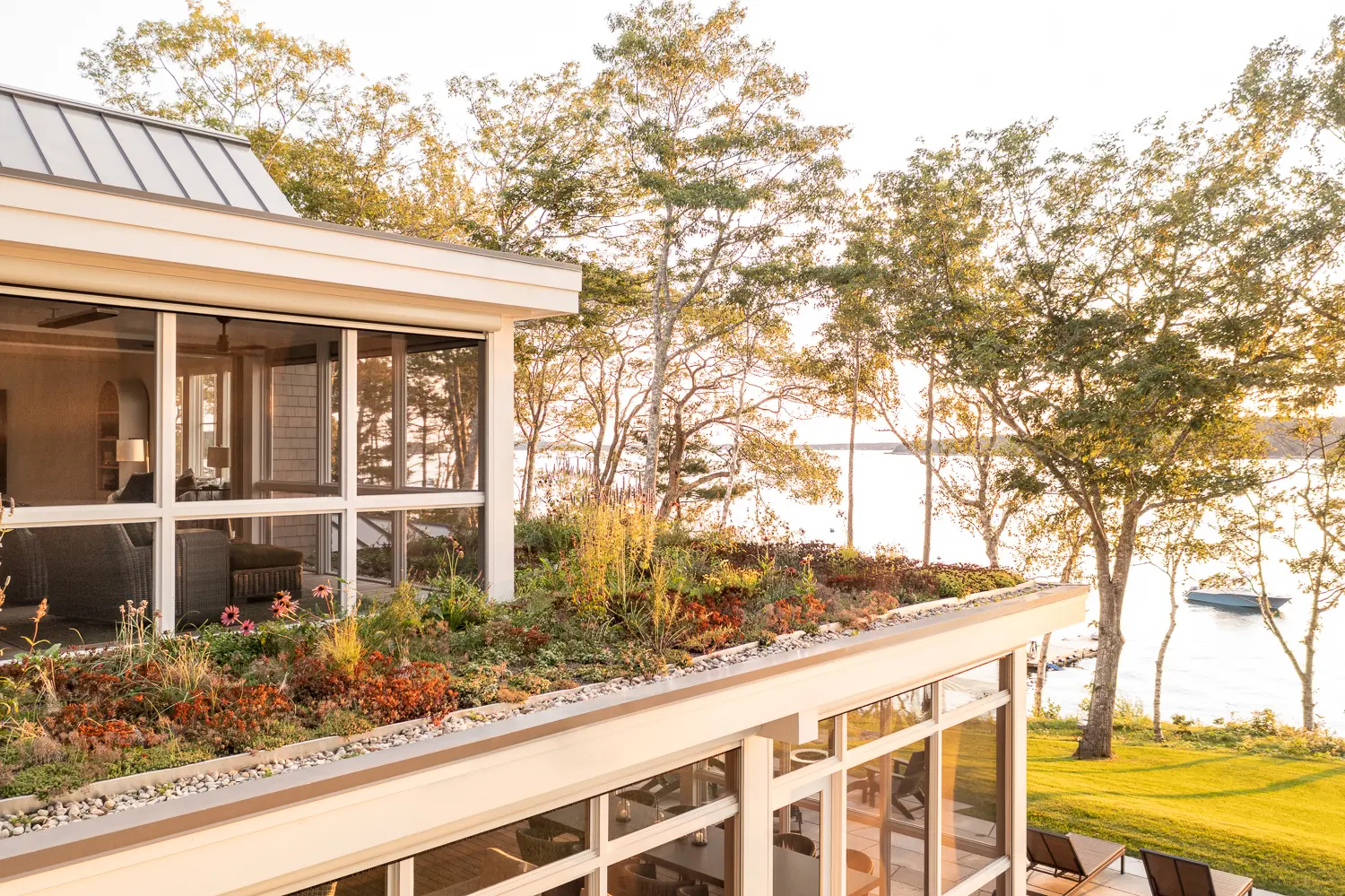 View of the green roof with coastal Maine in the background